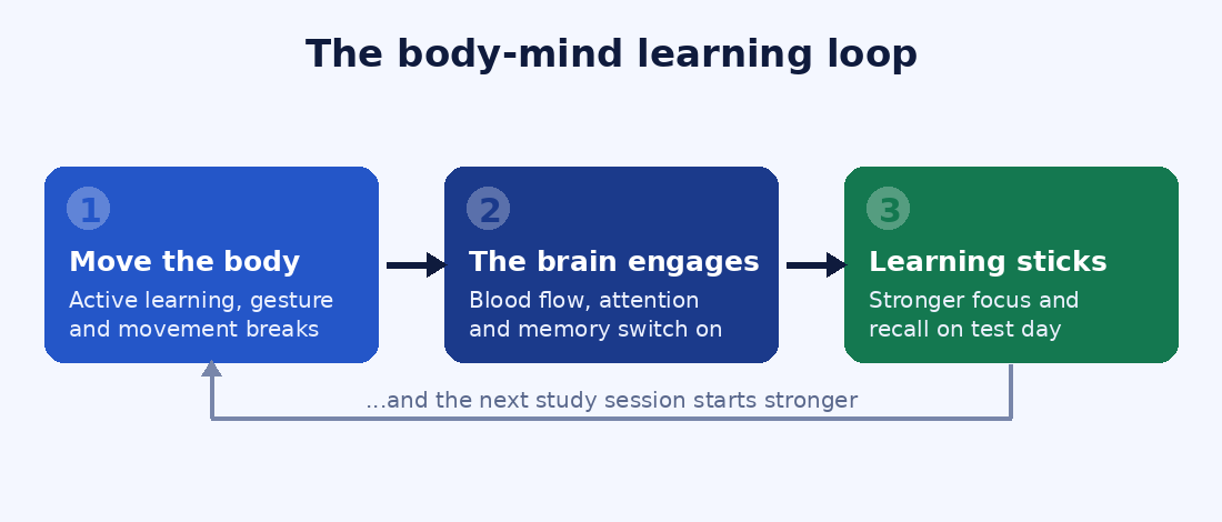 The body-mind learning loop: move the body, the brain engages, learning sticks, and the next study session starts stronger